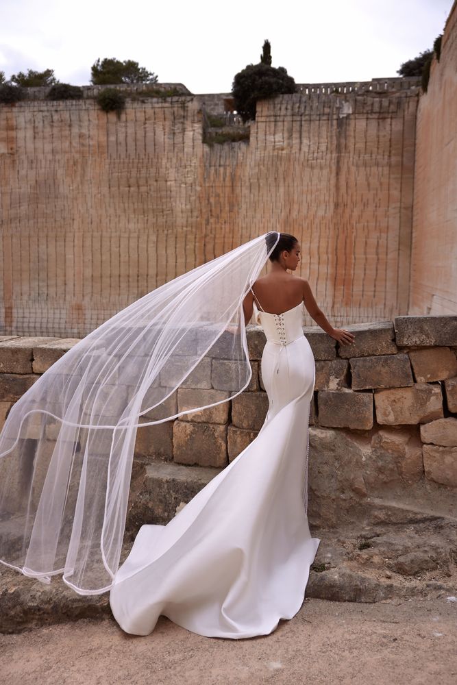 Ashlyn veil accessories