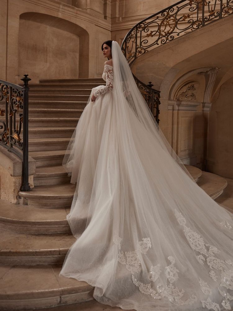 Dmytra velo accesorios